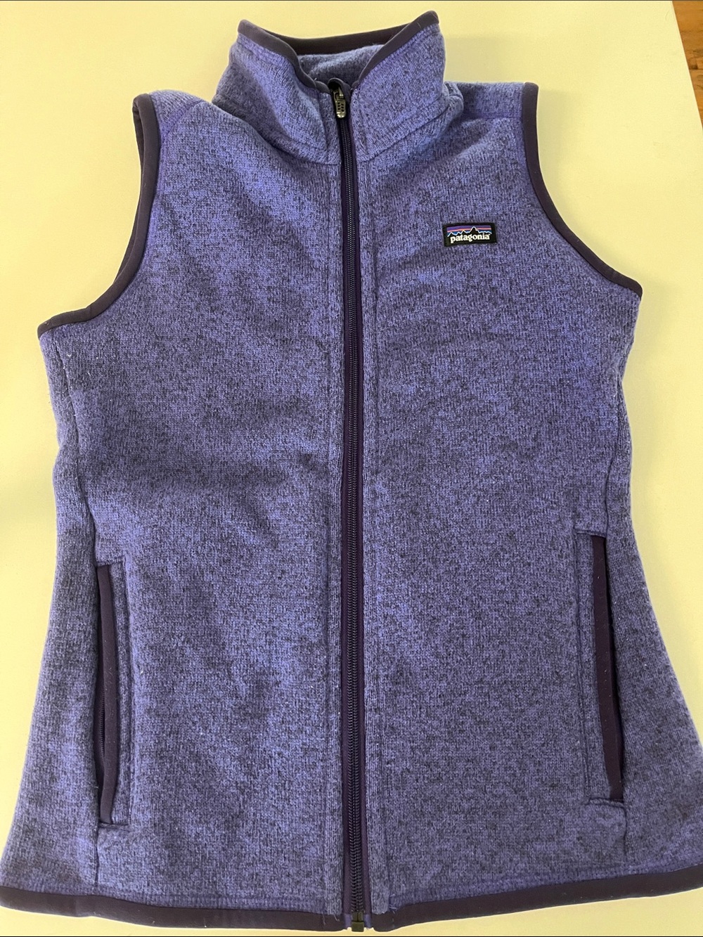 Patagonia Better Sweater Vest